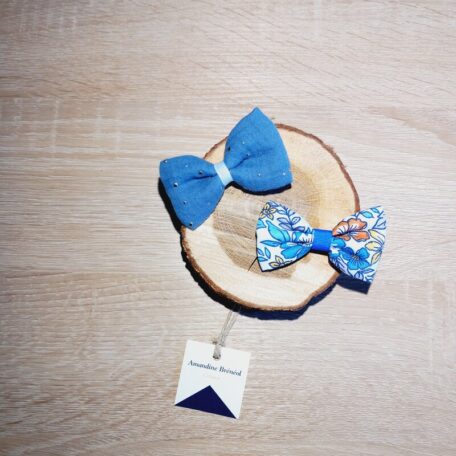 duo de barrettes bleu