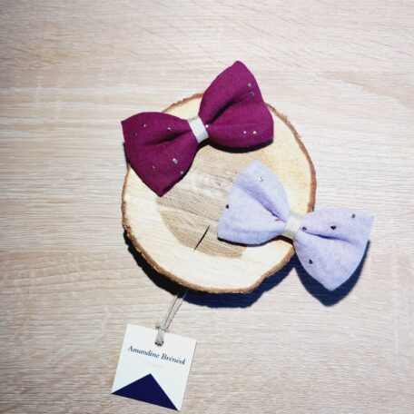 duo de barrettes mauve